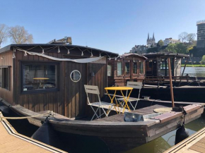 Logement insolite La Toue Cabanee centre ville